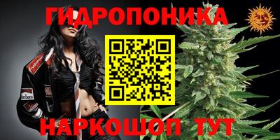 mdpv Северобайкальск