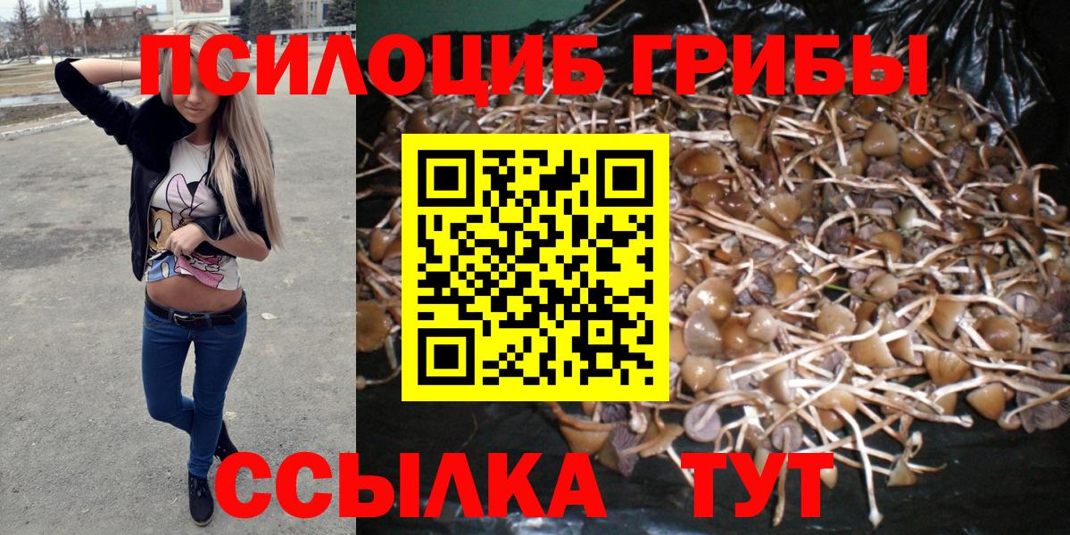Псилоцибиновые грибы мицелий Протвино