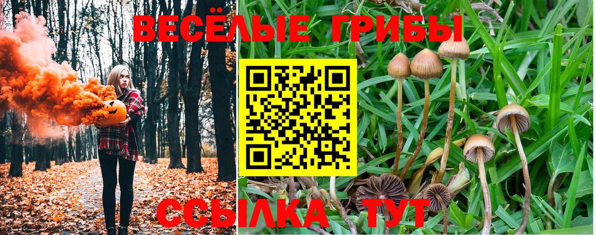 Галлюциногенные грибы GOLDEN TEACHER  Псилоцибиновые грибы прущие грибы  где найти   Протвино  Вход с VPN 